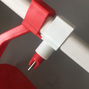 15birds Poultry Drinking System Chicken Water Pipe With Lubing