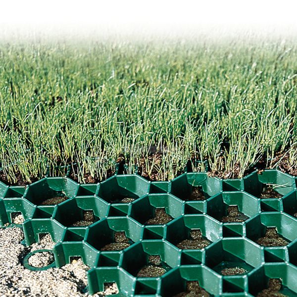 Heavy-Duty HDPE Grass Paver Grid for Permeable Ground Reinforcement, Driveways,