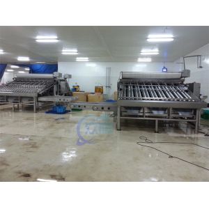 automatic fish grading machine sorting machine fish size grading machine
