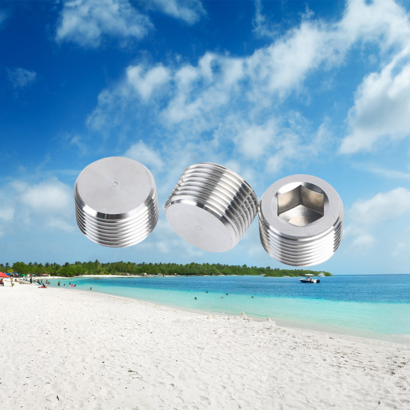 ZINC Plated Hydraulic Screw Hexagon Socket Pipe Plug Tapered Thread M8 M10 DIN906 for Industrial Pipe Connections