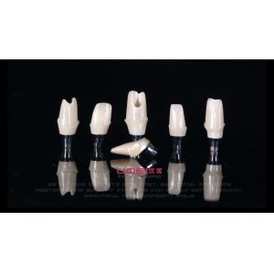 China Zirconia Custom Implant Abutment on sale