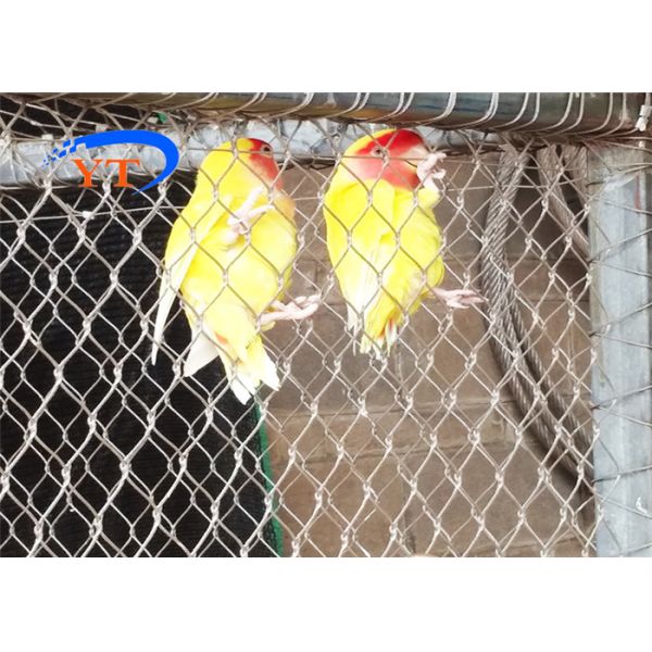 Buy Ferrule Type Stainless Steel Bird Mesh Diamond Shape Corrosion Resistant at wholesale prices