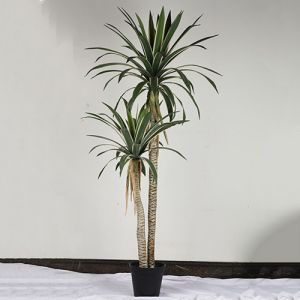 High Fidelity Artificial Dracaena Tree With White Side