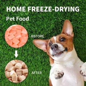 Laboratory Vacuum Home 50mm Freeze Dryer Lyophilizer Machine