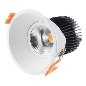 Sigmesh CCT Downlight