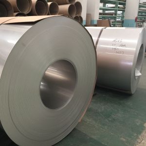ASTM AISI 301 SUS301 Stainless Steel Coil Strip