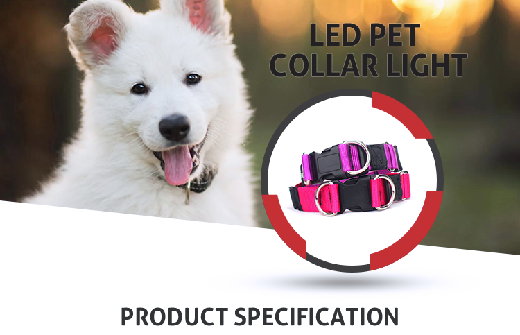 Customized Logo Fashion Style Dog Collar With Four Size Wear Resistance