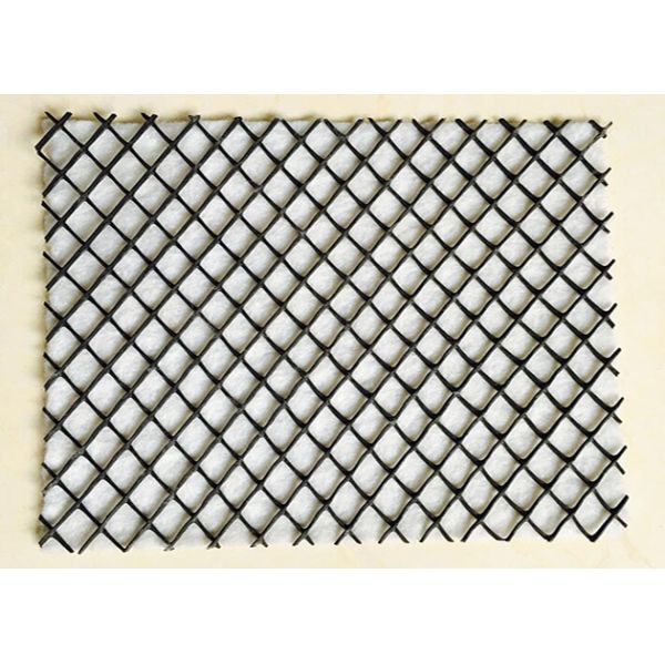 Slope Protection Geocomposite Hdpe Geonet With Two-Dimension In Construction