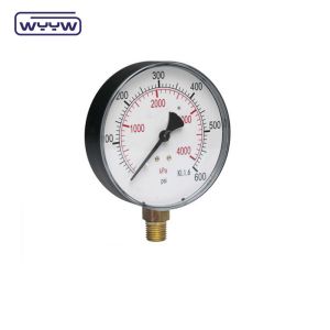 Dry Bottom Connection Precision Test Pressure Gauge OEM ODM OBM Customized