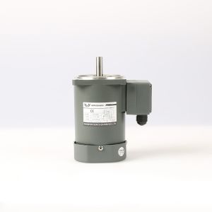 6~250W AC Gear Motor with Speed Controller