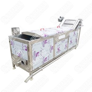 Food Machinery Manufacturer Food Vegetable Continuous Steaming and Blanching