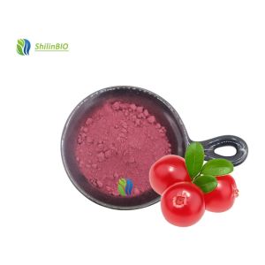 Wholesale Bulk 25% Anthocyanins Cranberry Extract Powder Cranberry Extract