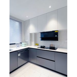China Factory Kitchen Cabinets with Quartz Granite Countertops