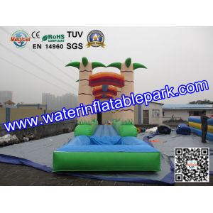 PVC Inflatable Single Lane Slip , Inflatable Water Slide Single Slip