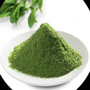 China Fresh Vegetable Spinach Powder Bulk Organic Red Spinach Extract on sale