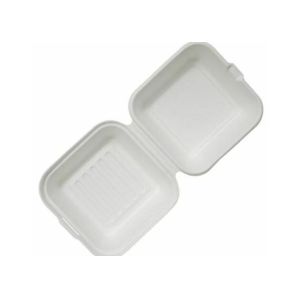 6" Square 20g 100% Compostable Biodegradable Take Out Boxes