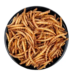 Quality Feed Additive Worm Meal Powder with 25% Fat for Superior Nutrition for sale