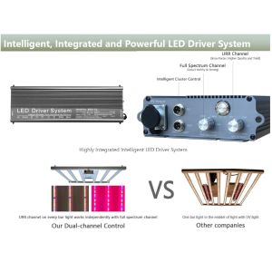 Vegetable 800 Watt 1000W LED Grow Lights 2.8umol/J Dimming Control