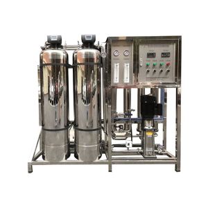 Automatic SS304 316 1000L/H Water Treatment Plant RO Water Filter System