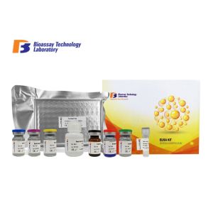 Quality Sandwich Human APEX1 Enzyme Linked Immunosorbent Assay Kit With 2 Hours Assay Time for sale