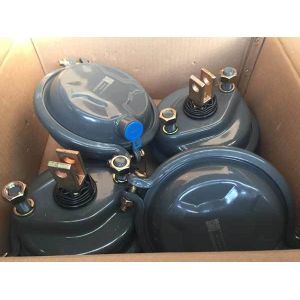Customized Trailer Spare Parts 9253801010 Trailer Brake Chamber