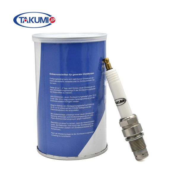 Technical diagram of spark plug