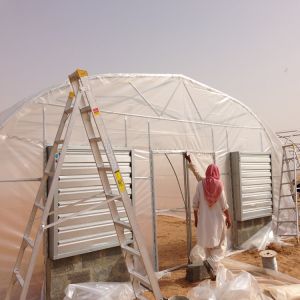 Hot Climate Tomato Plant Greenhouse 150 Micron Plastic Film Cover