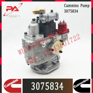 Cummins KTA50 Engine Parts Injection Fuel Pump 3075834 3059657 3060947
