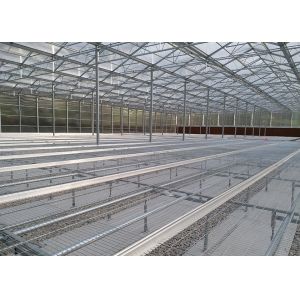WL108Y Large IGreen Polycarbonate Panels Customized Length for Greenhouse