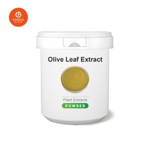 Relieve Arrhythmias and Prevent Artery Hardening with Olive Leaf Extract