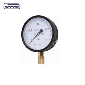 WYYW 100mm iron case MS bottom connection manometer 16bar