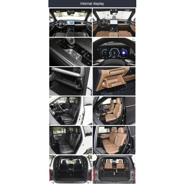 Gac Trumpchi Gs8 2.0T Gasoline Car Hybrid Car Chinese Integral Body with Steering and Cabin Structure