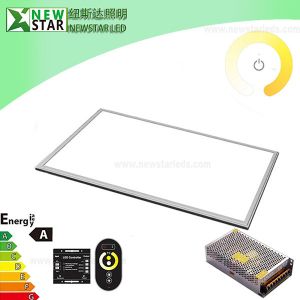 China 24W 600x300mm 24V Dual White LED Panel with RF Remote on sale