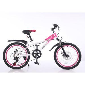 Aluminum Alloy 20 Inch Aluminum Mountain Bikes 6 Speed