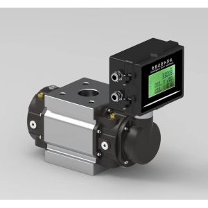 OEM Customizable Roots Flowmeter for Yunyi Smart Intelligent Digital LPG and