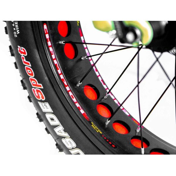 48V Disc Brake Dual Batteries Fat Snow Big Tire Electric Cargo Bicycles for Family 2