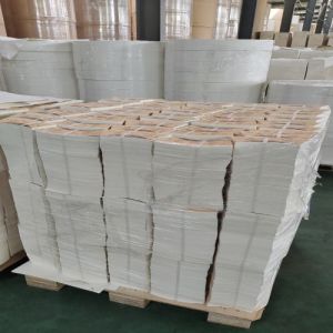 PLA Coated Paper Sheet for Sustainable Paper Coffee Cups