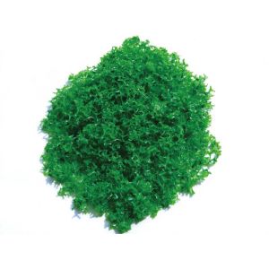 Quality Tree powder for model tree are tree sponge ,tree foliage spongeT-2007 for sale