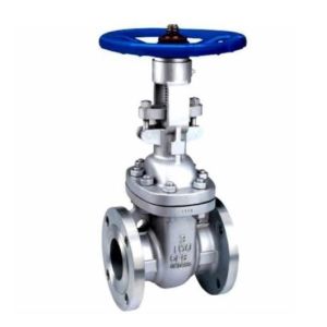 Oil Media ANSI ISO/Coc/CE Flanged Gate Valve Z40/Z41 30 Days for Hassle-Free