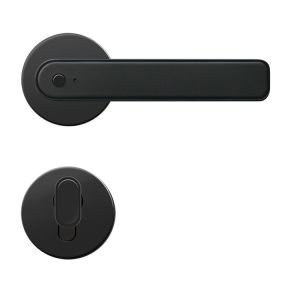 Wifi TTlock Smart Handle Door Lock Zinc Alloy For Outside Gate