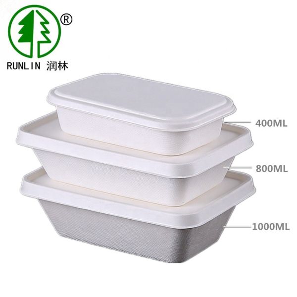 Bagasse Disposable Eco Friendly Lunch Box Containers Biodegradable Takeaway BPA
