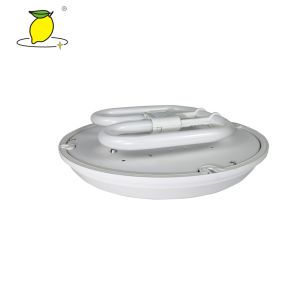 Battery Backup Fluorescent Emergency Light , IP65 Wall Mounted Emergency Light