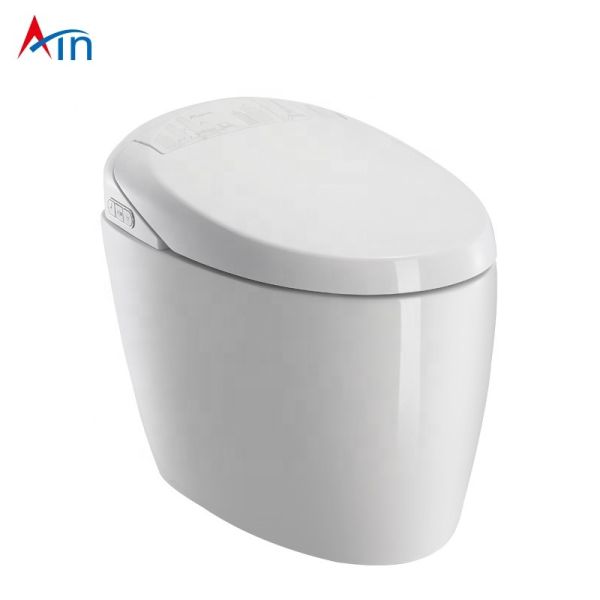 Buy Multifunction Bathroom Smart Toilet , Concealed Tank Electric Bidet Toilet at wholesale prices