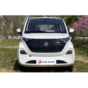 Driver's License-Free 60km/h Electric SUV with Left Steering and Spacious