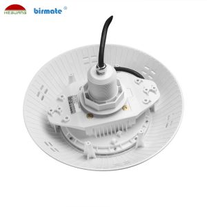 1750LM 6500K LED Underwater Swimming Pool Lights 25W Vinyl AC12V