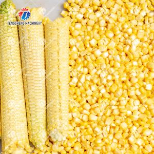 Multifunctional Corn Thresher Machine 500kg/H Size Adjustment