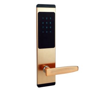 Home Apartment Electronic Password Digital Hotel Smart Lock