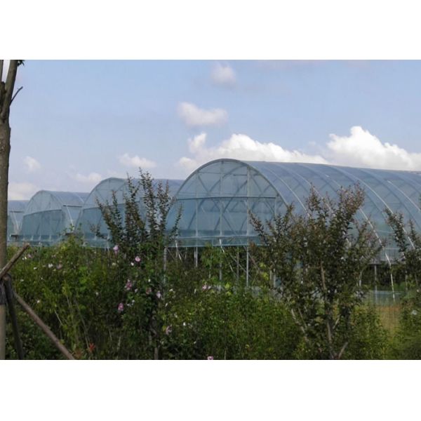 Buy Arch Type Po / PE Film Greenhouse Agricultural Multi Span Tunnel Good Stability at wholesale prices
