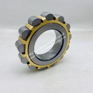 Eccentric Bearing 611GSS