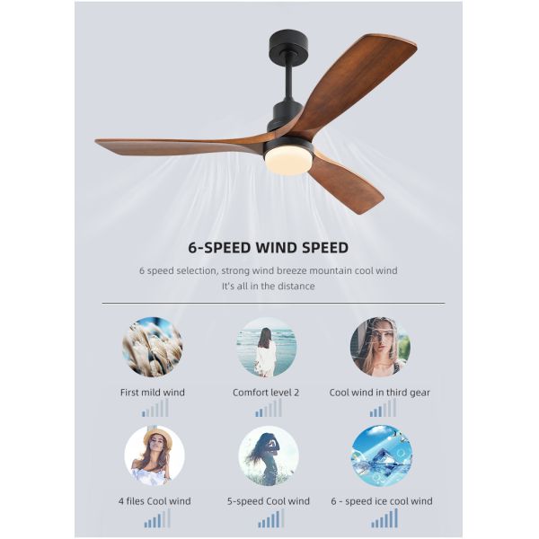Dimmable AC/DC120V 65W Smart Ceiling Fan With Light And Remote 3 Speed
